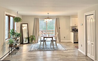 24 Petticoat Hill Rd, Unit 1 in Williamsburg, MA - Building Photo