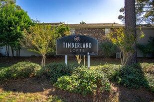 Timberland Lofts
