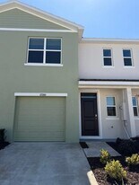 17260 English Chestnut Wy in Land O Lakes, FL - Building Photo