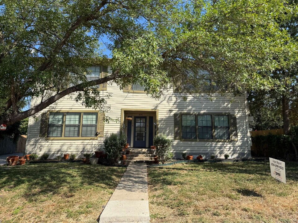 315 Andrews St in San Antonio, TX - Building Photo