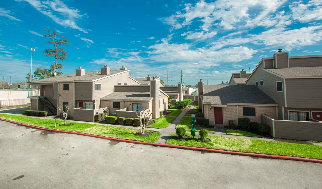 Trailing Vine Place in Spring, TX - Building Photo