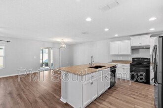 10602 Massimo Dr in Wimauma, FL - Building Photo - Building Photo