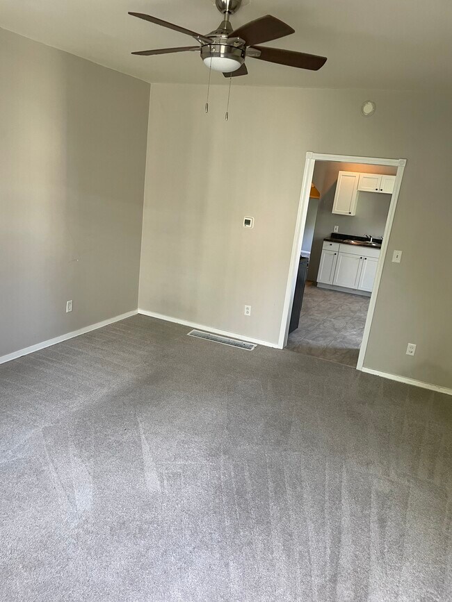 259 Grote St, Unit Lower in Buffalo, NY - Building Photo - Building Photo