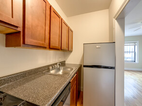1167 N Dearborn St in Chicago, IL - Building Photo - Building Photo