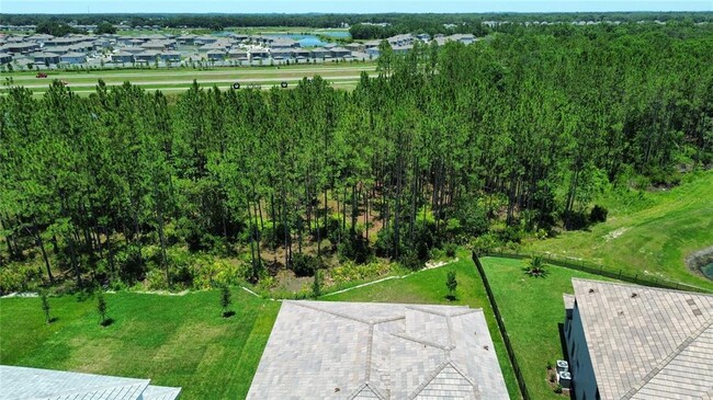 35335 Big Hawk Dr in Zephyrhills, FL - Building Photo - Building Photo