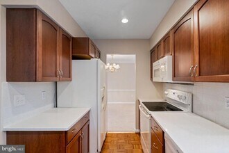 3866 Oriole Ct in Montclair, VA - Building Photo - Building Photo