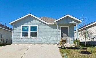 256 Northern Pintail Dr in Kyle, TX - Building Photo