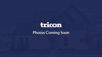 8991 Celtic Dr in Winston, GA - Building Photo