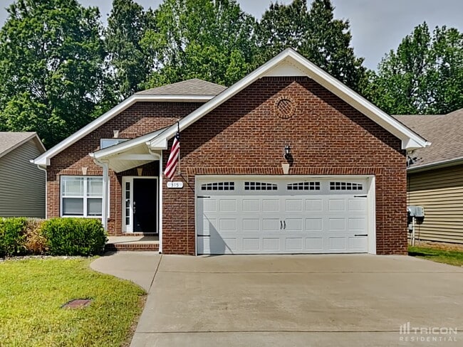 property at 315 David Dr