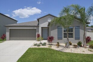 5524 Rainwood Meadows Dr in Apollo Beach, FL - Building Photo