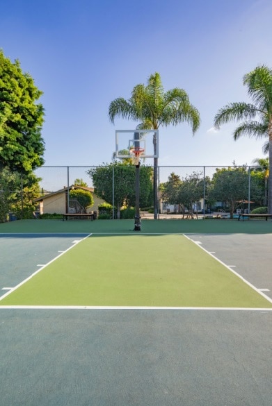 800 E Bobier Dr in Vista, CA - Building Photo - Building Photo