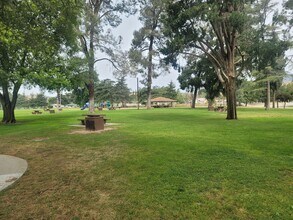 545 N 2nd St in Banning, CA - Building Photo - Building Photo