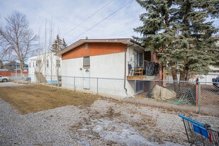 1016 Edmonton Trl NE in Calgary, AB - Building Photo