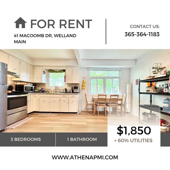 41 Macoomb Dr in Welland, ON - Building Photo