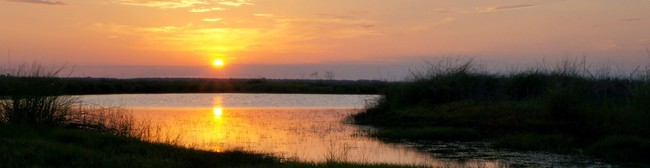 Casas Alquiler en Fieldstone Village, FL