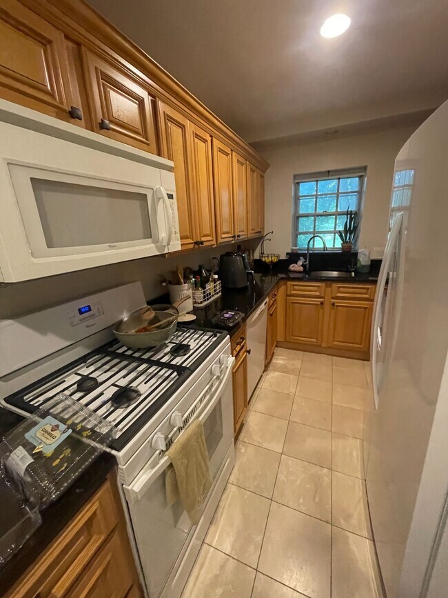 51 Lake Shore Ct, Unit 1 in Boston, MA - Building Photo - Building Photo