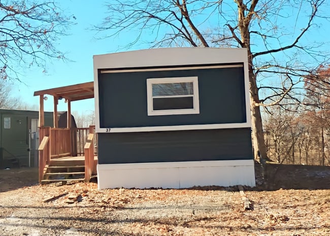 1100 W Locust St in Canton, IL - Building Photo - Building Photo