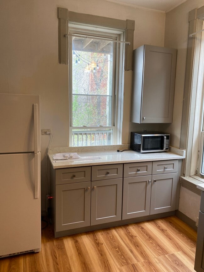 1924 W Division St, Unit 2 in Chicago, IL - Building Photo - Building Photo