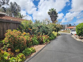 320 Park Ave in Vista, CA - Foto de edificio - Building Photo