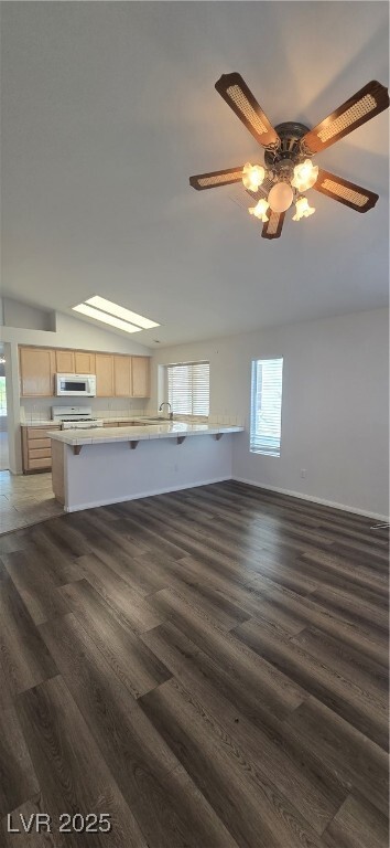 property at 2017 Scenic Sunrise Dr
