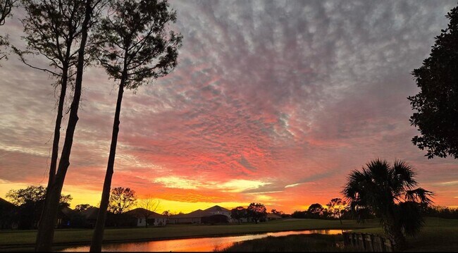 property at 17708 Sawgrass Run