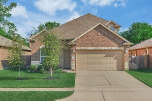8934 Alcina Dr in Tomball, TX - Building Photo