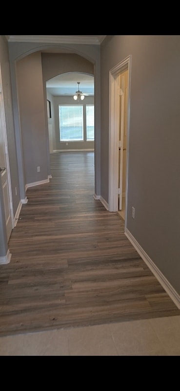 24663 Lakecrest Pine Trail in Katy, TX - Building Photo - Building Photo