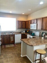 817 Lakebrook Ct in Windsor, CO - Building Photo - Building Photo