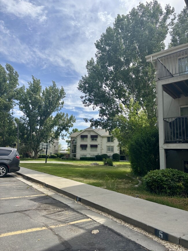 215 S 1050 W in Provo, UT - Building Photo - Building Photo
