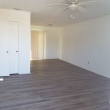 2910 Ormond Ave in Panama City, FL - Building Photo - Building Photo