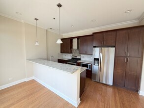 1002 W Van Buren St in Chicago, IL - Building Photo - Building Photo