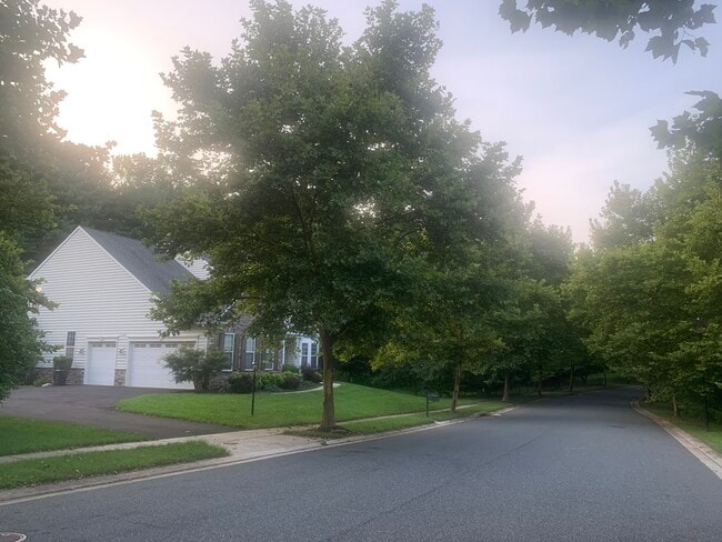 property at 9804 Anvil Ct