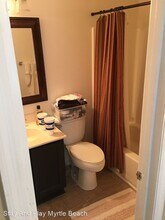 714 1st Ave N in Surfside Beach, SC - Building Photo - Building Photo