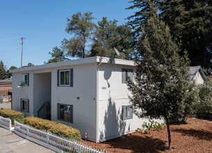 1000 Ripley St in Santa Rosa, CA - Building Photo - Primary Photo