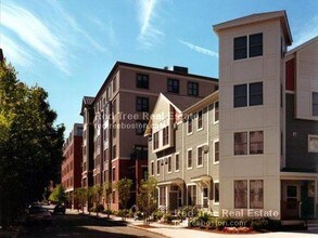 115 Mt Auburn St-Unit -202 in Cambridge, MA - Building Photo - Building Photo