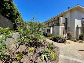 244 Chinquapin Ave in Carlsbad, CA - Building Photo