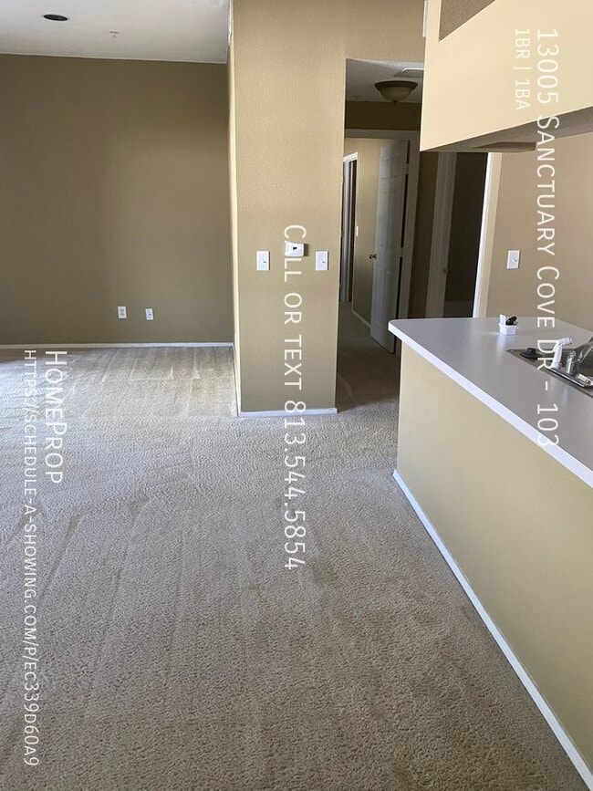 13005 Sanctuary Cove Dr in Temple Terrace, FL - Building Photo - Building Photo