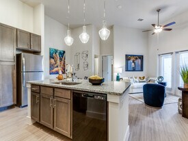 Palladium San Antonio in San Antonio, TX - Building Photo