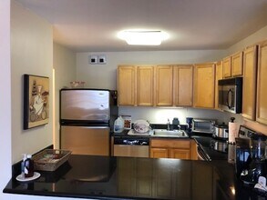 525 W Hawthorne Pl in Chicago, IL - Building Photo - Building Photo