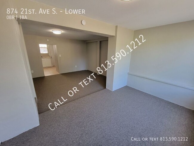 874 21st Ave S-Unit -Lower in St. Petersburg, FL - Foto de edificio - Building Photo