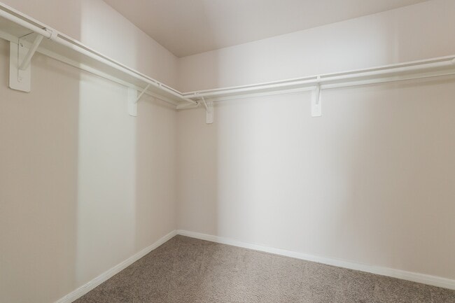 property at 2104 Cedar Bnd Dr