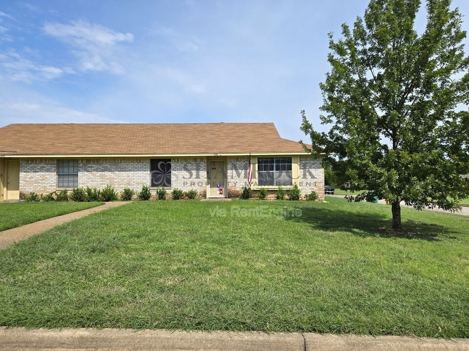 230 Kettler Dr in Robinson, TX - Building Photo