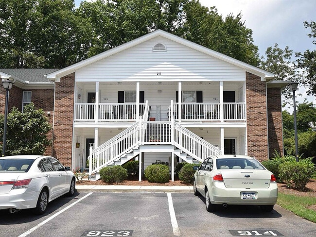 property at 217 Egret Run Ln