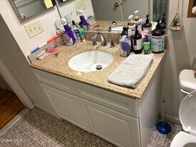 161 Cedarview Ln in Watervliet, NY - Building Photo