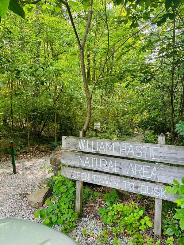 516 Post Oak Ln in Knoxville, TN - Foto de edificio - Building Photo