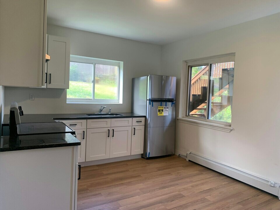 436 Ripple St in Scranton, PA - Building Photo