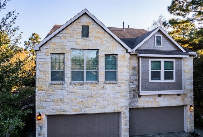 211 Cheswood Forest Pl in Montgomery, TX - Building Photo - Building Photo