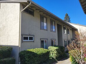 2560 Walnut Blvd in Walnut Creek, CA - Building Photo - Building Photo