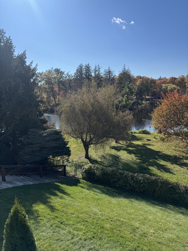 193 Park St in New Canaan, CT - Building Photo - Building Photo