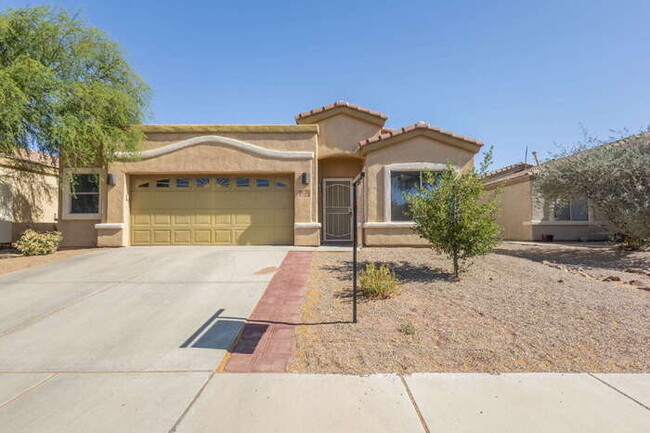 property at 295 E Placita Nubes De Agua